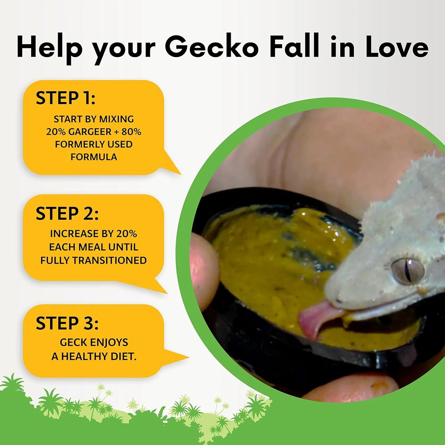 Gargeer Gentle Geck: Fig