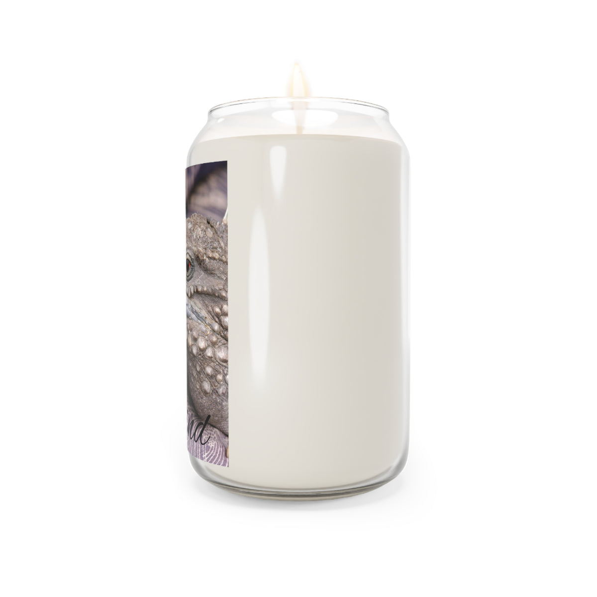 "Unwind" Iguana Scented Soy Candle (13.75 oz)