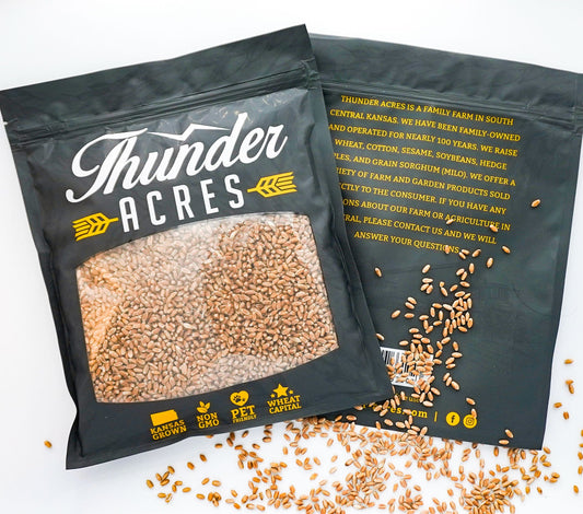 Hard Red Winter Wheatgrass Seeds (Triticum aestivum)