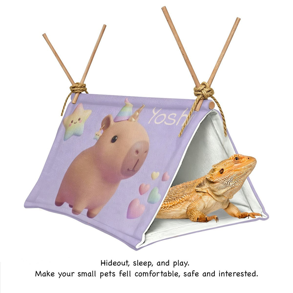 Personalized Capybara Crawl House