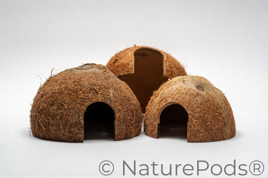 Natural Coconut Cave Habitat Hide (Cocos nucifera)
