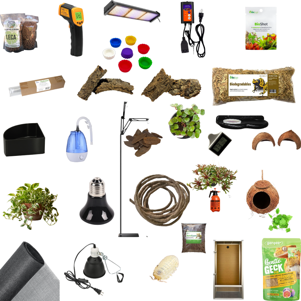 The Complete Deluxe Bioactive New Caledonian Gecko Habitat Bundle