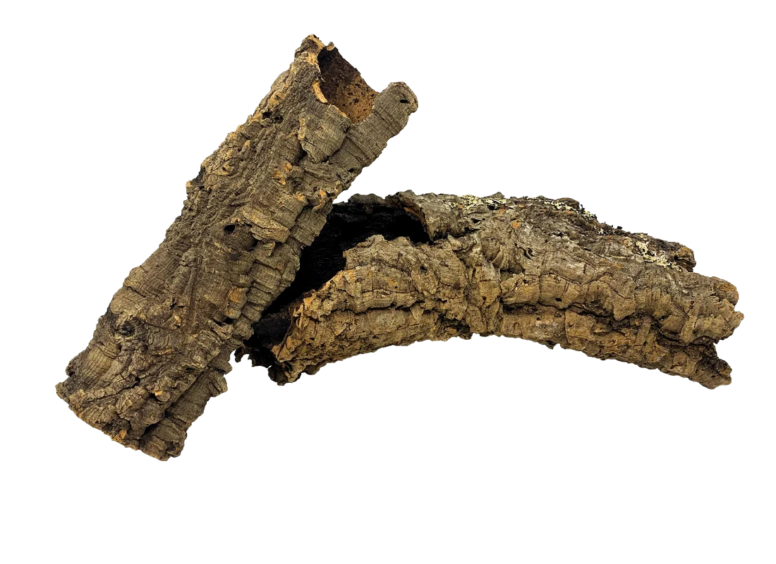 The Complete Deluxe Bioactive New Caledonian Gecko Habitat Bundle
