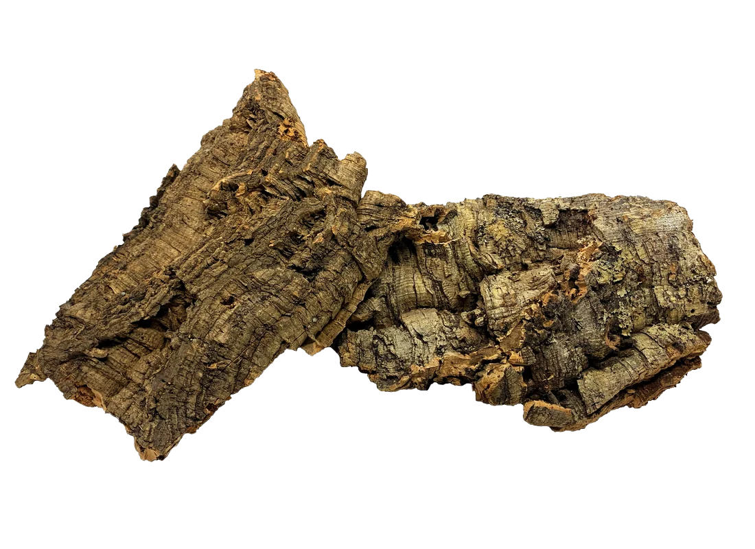 The Complete Deluxe Bioactive New Caledonian Gecko Habitat Bundle