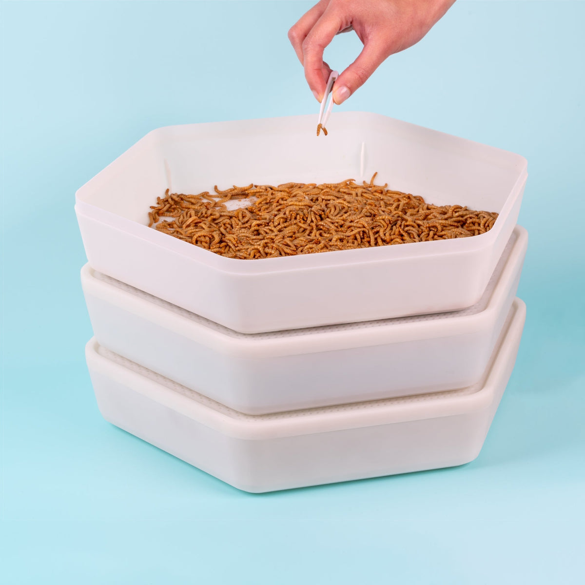 BugFactory 3-Tiered Mealworm Growing Pods – Sustainable Live Feeder Kit