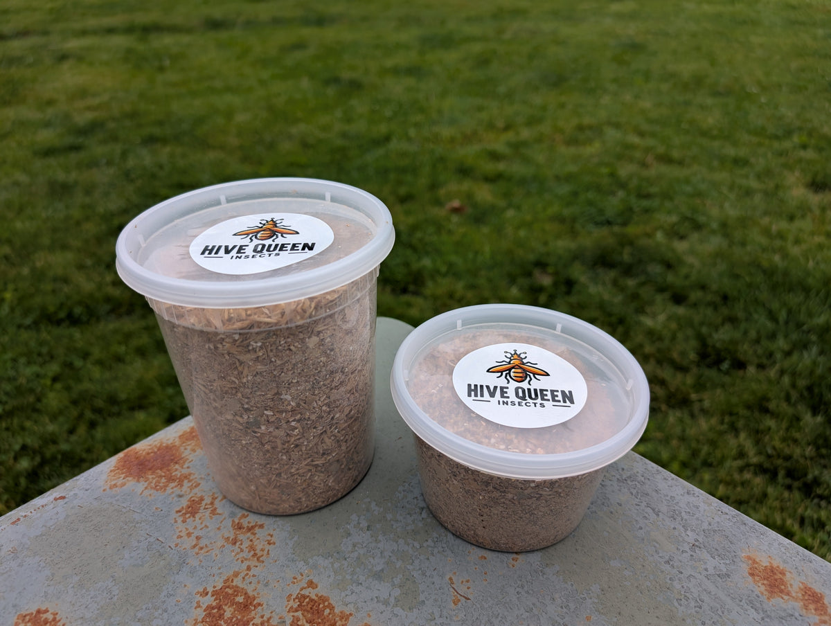 Premium High-Calcium Dubia Chow & Feeder Gut-Load