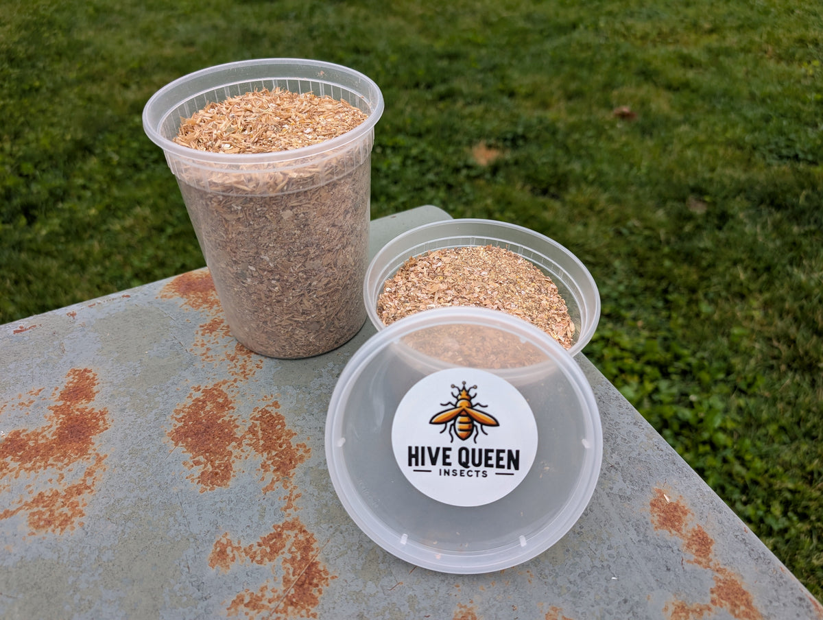 Premium High-Calcium Dubia Chow & Feeder Gut-Load