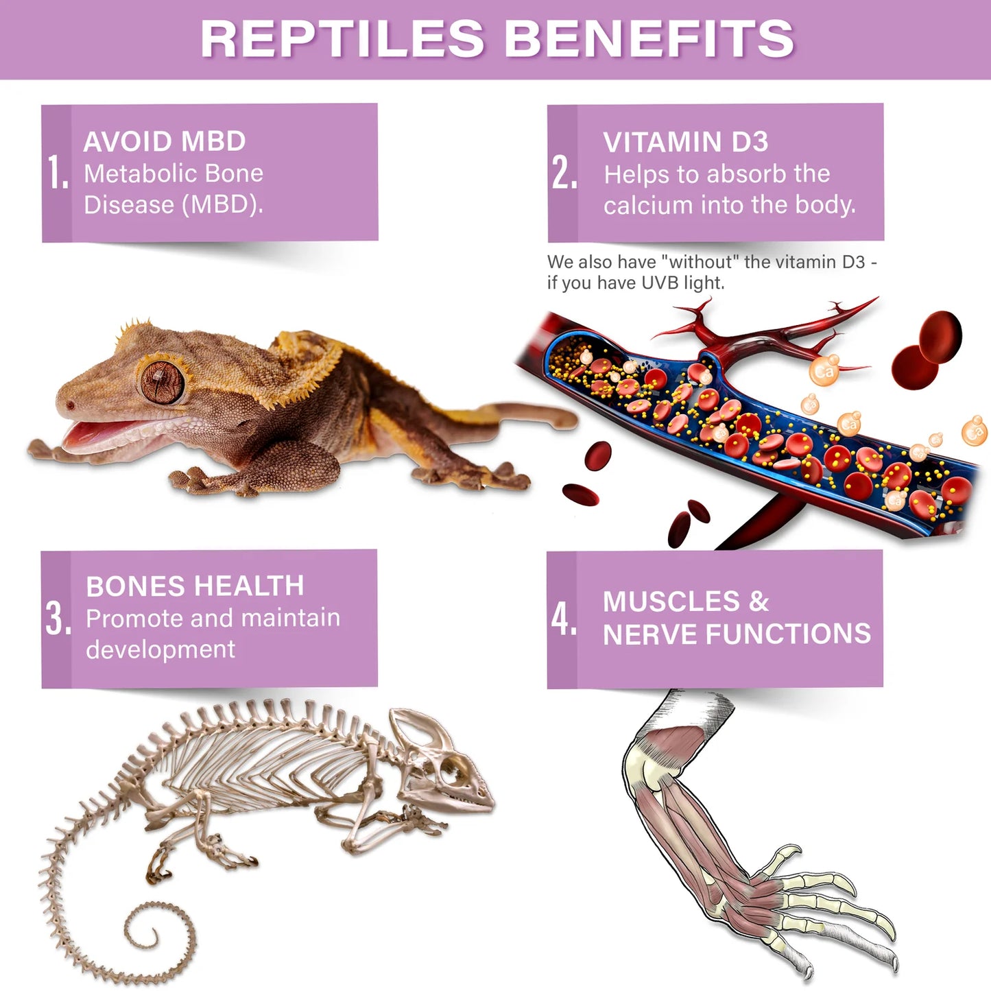 Gargeer Gentle Geck Tropical Flavoured Calcium (Without D3)