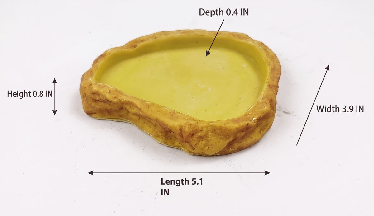 Natural Stepped Rock Reptile Basin & Feeder Series