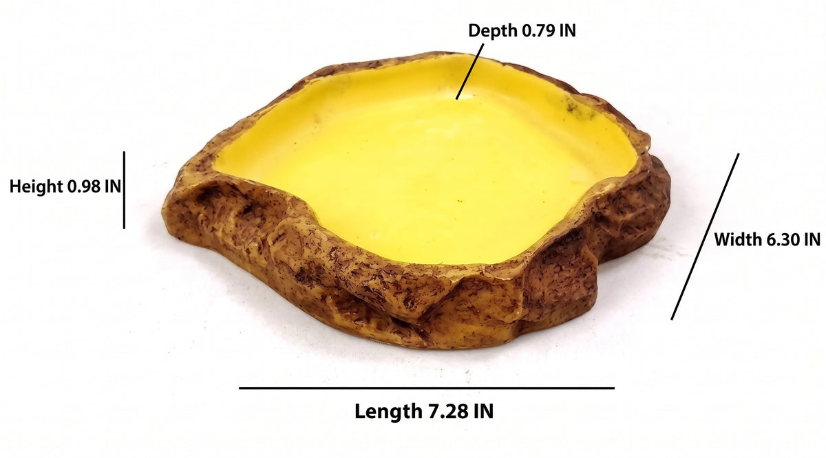 Natural Stepped Rock Reptile Basin & Feeder Series