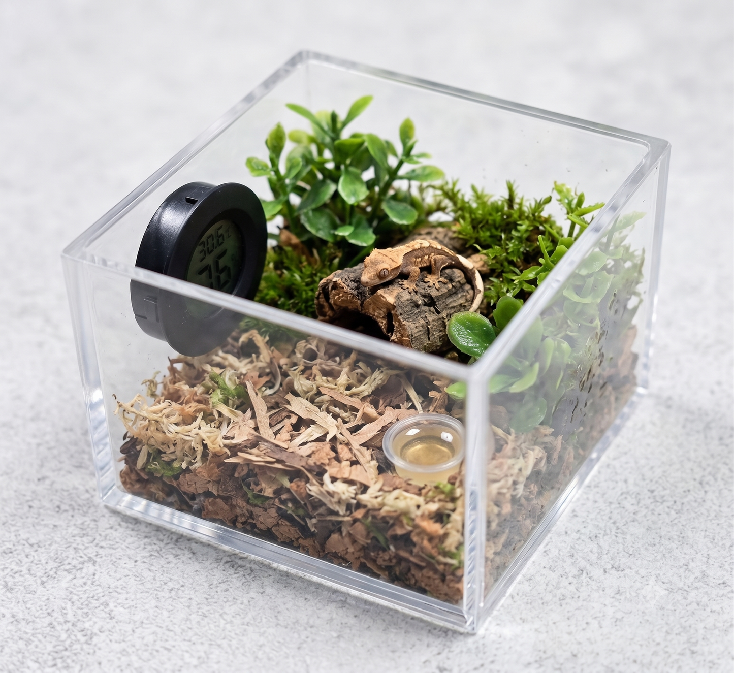 Mini Round Digital Terrarium Thermometer and Hygrometer