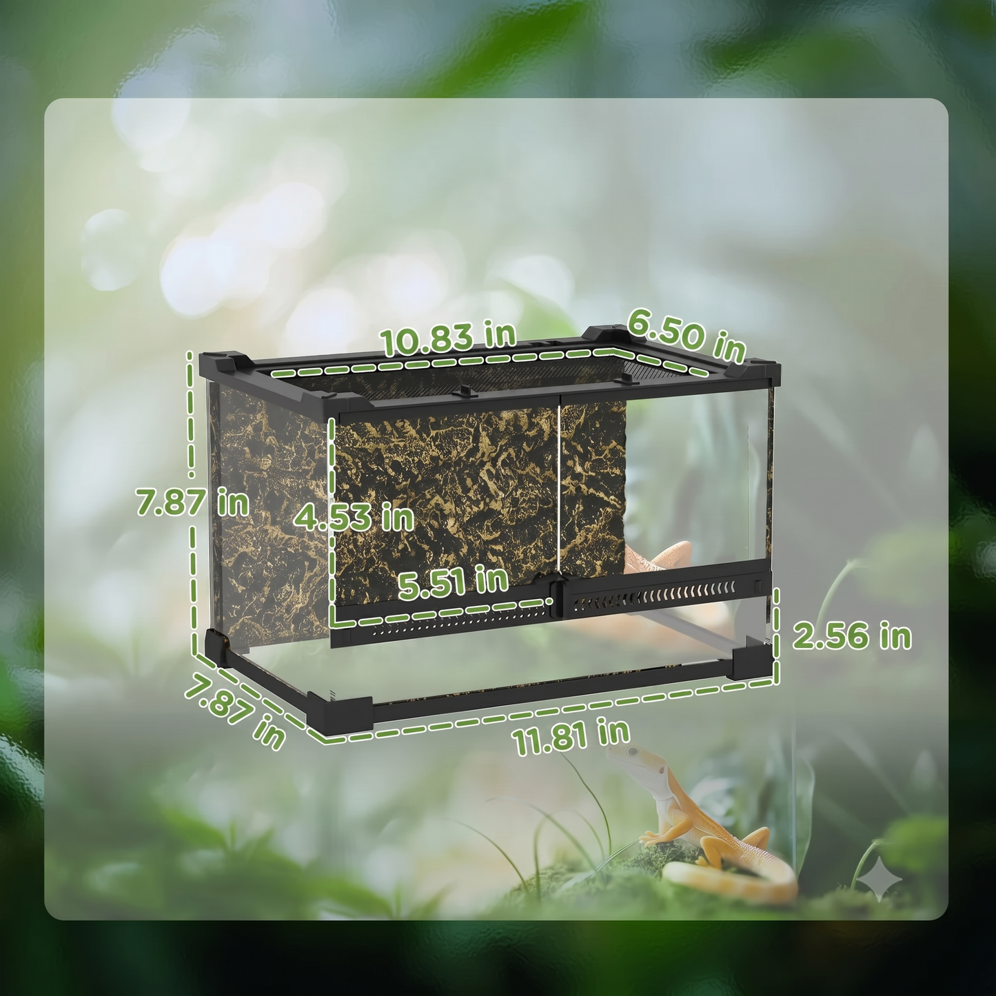 Premium Glass Reptile Terrarium – 360° Clear-View Vivarium