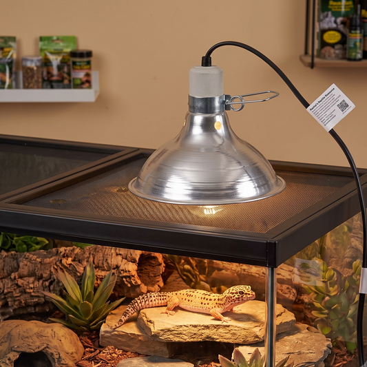 Heavy-Duty Deep Dome Clamp Lamp (300W Max)
