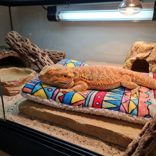 Premium Cushioned Reptile Lounger Beds