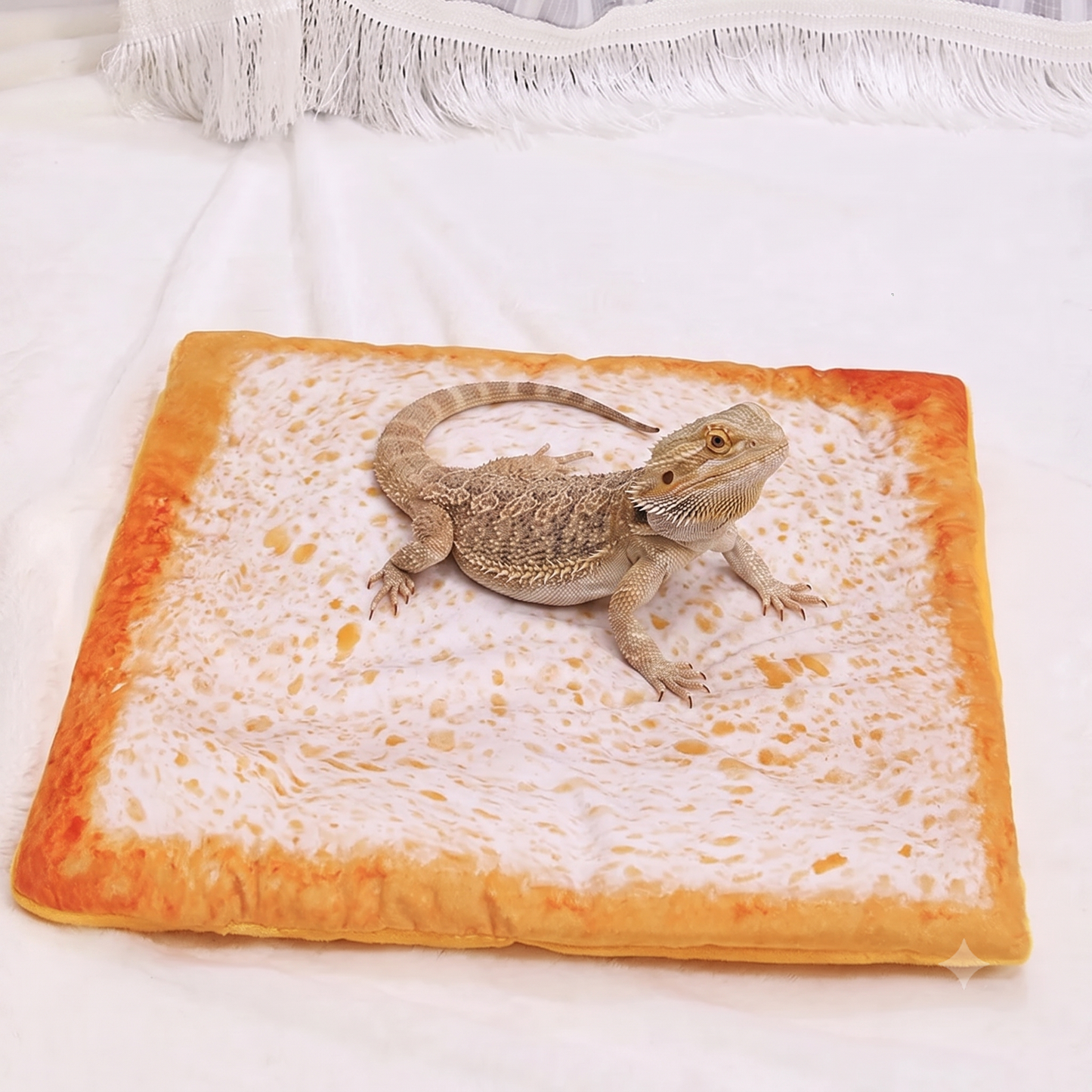 Quirky Beardie Loungers & Snuggle Blankets