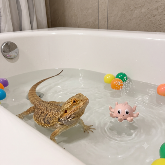 The LED Octopus Bath Sprayer