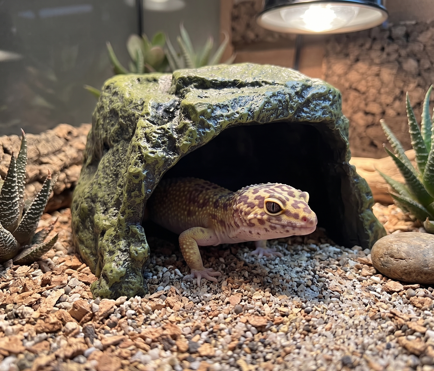 Realistic Resin Rock Cave Hideout