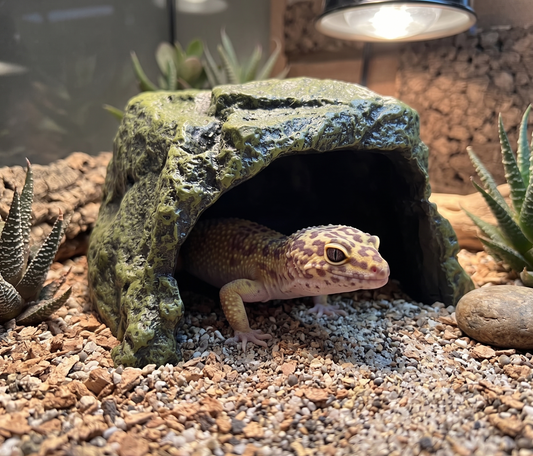 Realistic Resin Rock Cave Hideout