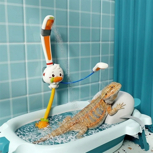 The Ultimate Bearded Dragon Shower Station 🦎🚿