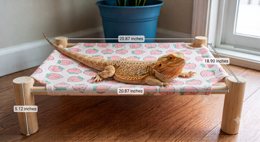 Elevated Reptile Cot & Hammock Lounger