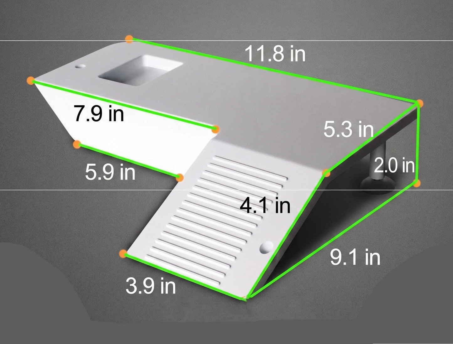 Floating Turtle Basking Platform & Basking Ramp