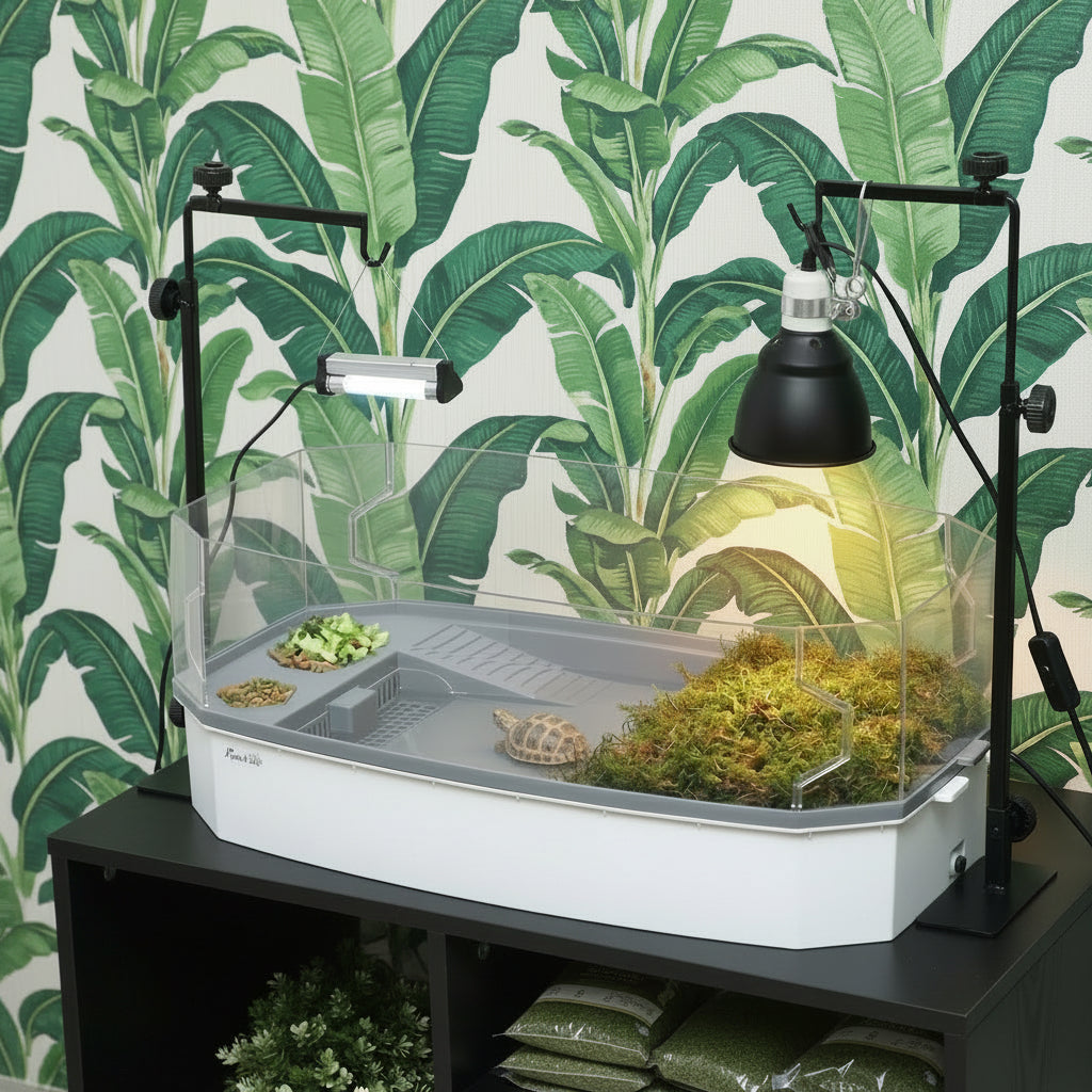 Aquatic Nursery Kit for Hatchling Turtles & Semi-Aquatic Invertebrates