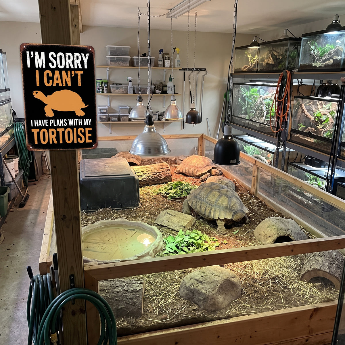 "Plans With My Tortoise" Vintage-Style Metal Tin Sign