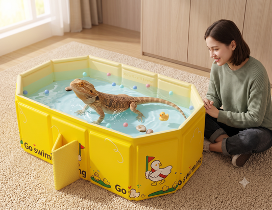 Bearded Dragon Adventure Splish-Splash Pool