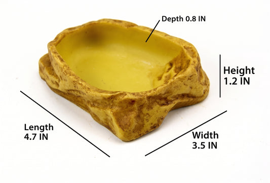 Natural Stepped Rock Reptile Basin & Feeder Series