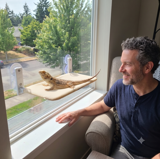 Luxury Elevated Reptile Basking Ledge