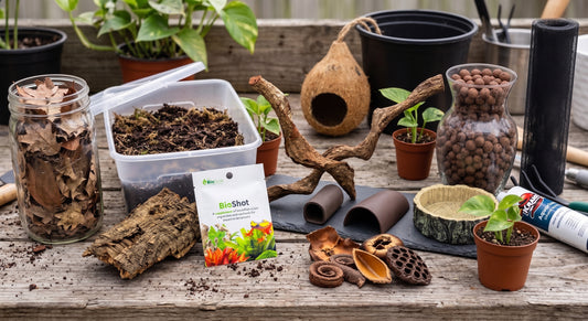 Complete Tankless Tropical Bioactive Habitat Kit