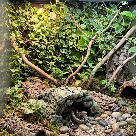 Naturalistic Resin Rock Hide Cave for Reptiles & Amphibians