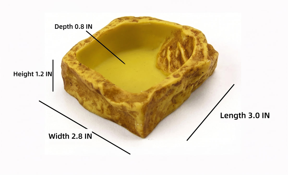 Natural Stepped Rock Reptile Basin & Feeder Series