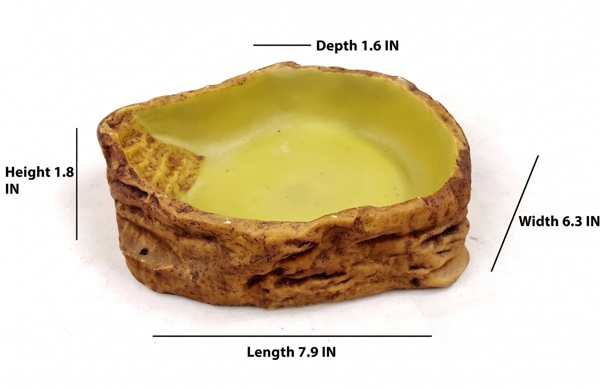 Natural Stepped Rock Reptile Basin & Feeder Series