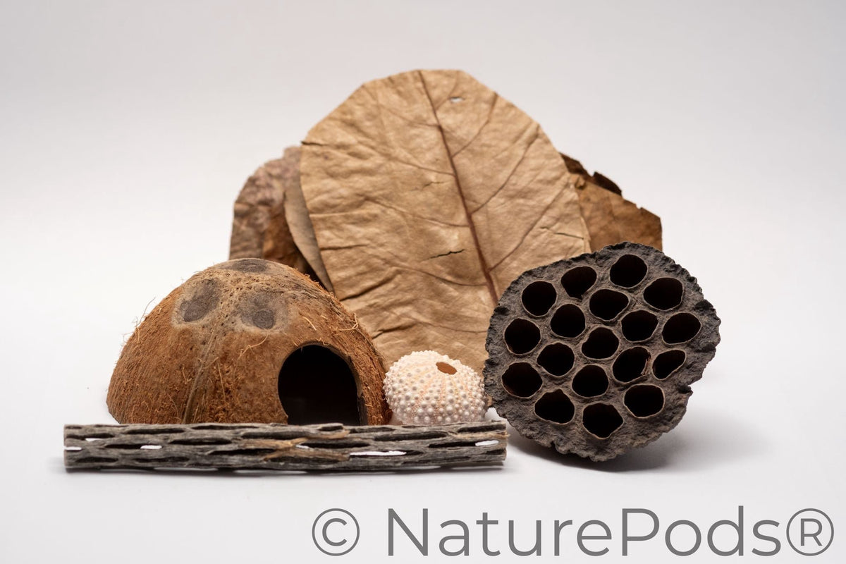 Natural Hermit Crab Botanical Enrichment Pack (15-Piece Foraging & Hide Set)