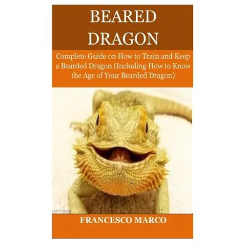 Bearded Dragon By Francesco Marco