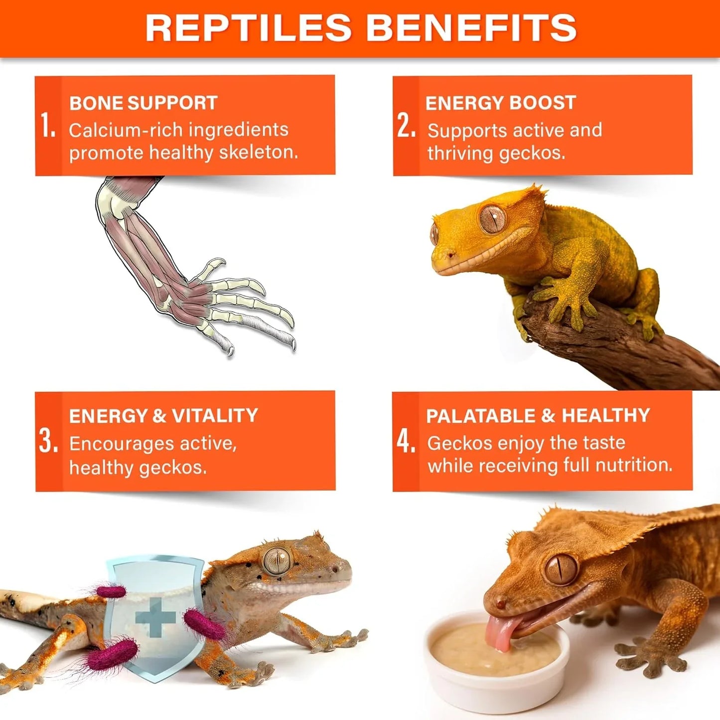 Gargeer Picky Geck: Energy Nectar