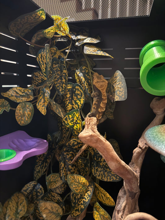 Magnetic Gecko Tube Hide