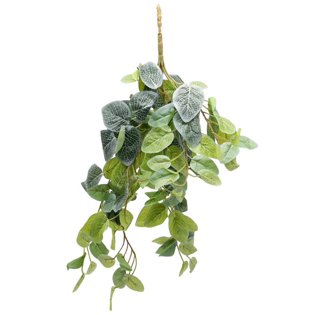 The Complete Juvenile Sterile/Naturalistic Arboreal Gecko Kit