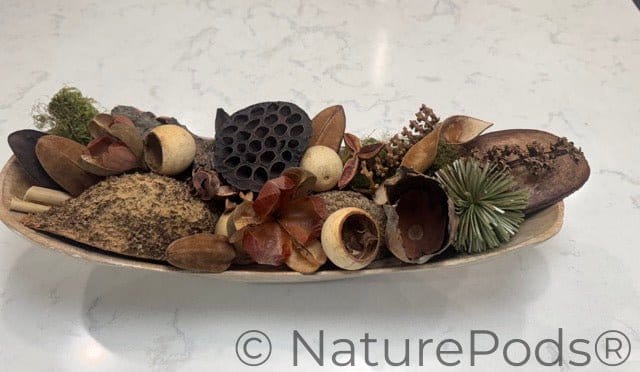 Natural Palm Tail Springs (Borassus flabellifer) – 3 Pack