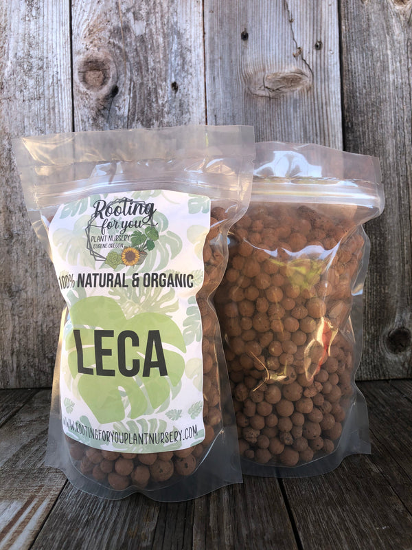 Expanded Clay Pebbles (LECA) – Bioactive Drainage Layer