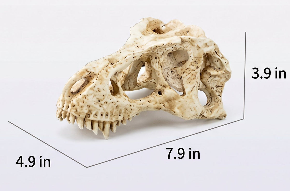 T. Rex Fossil Skull Hide