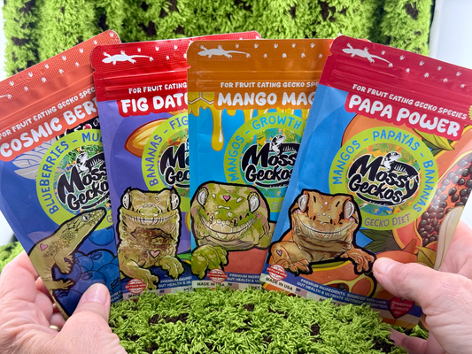 Mossy Geckos - Complete Gecko Diet 4-Pack Variety Bundle