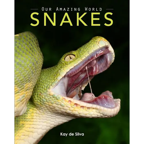 Snakes by Kay De Silva