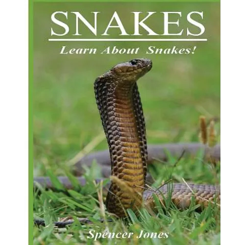 Snakes by Spencer Jones