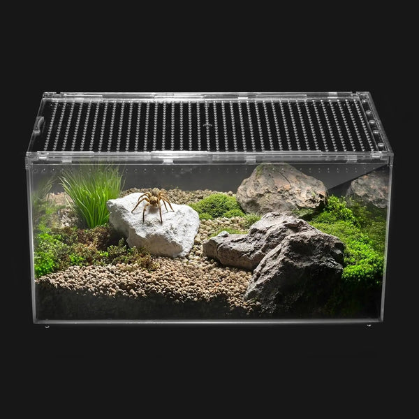 Premium Acrylic Invertebrate & Terrestrial Enclosure