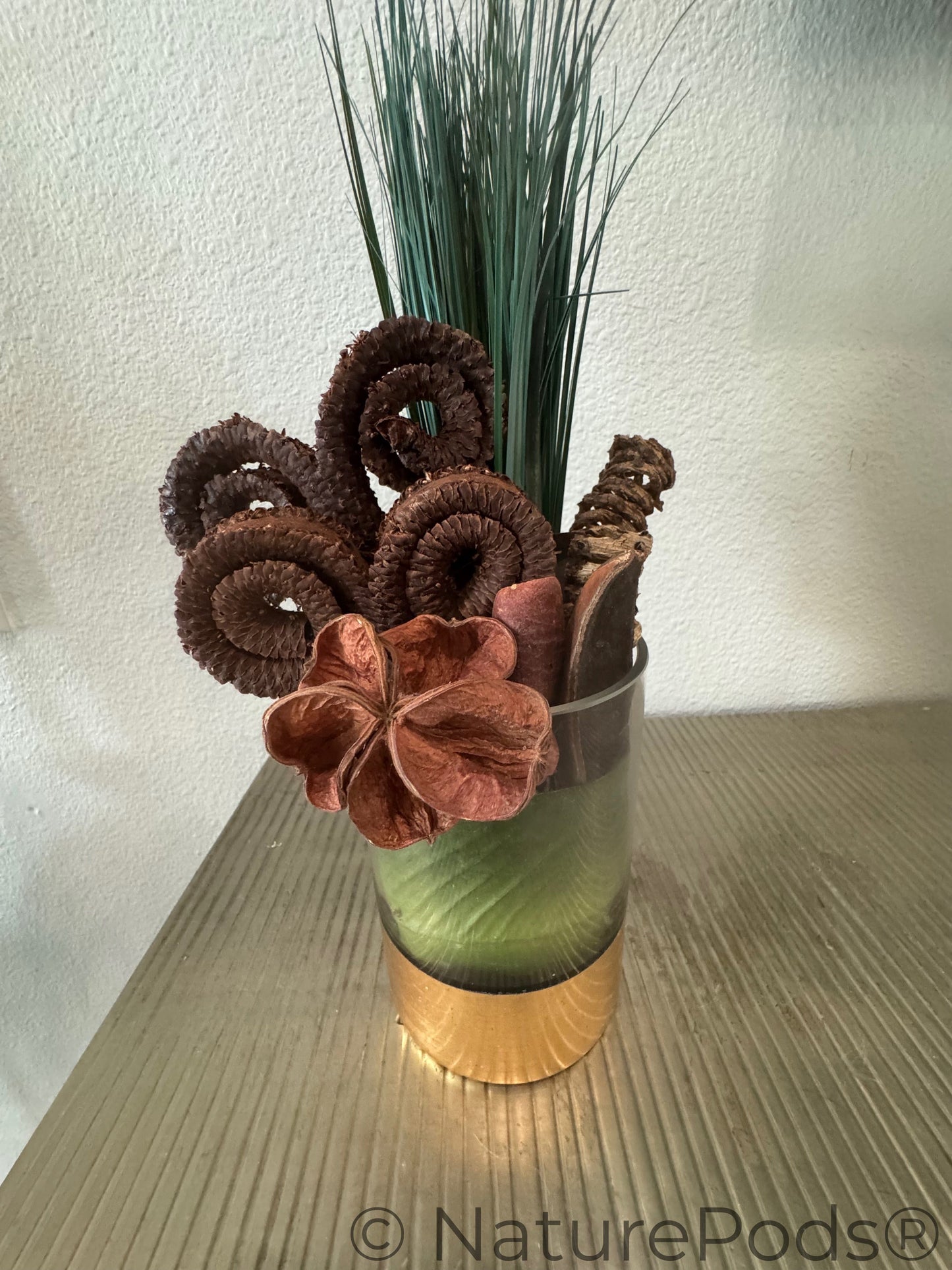 Natural Palm Tail Springs (Borassus flabellifer) – 3 Pack