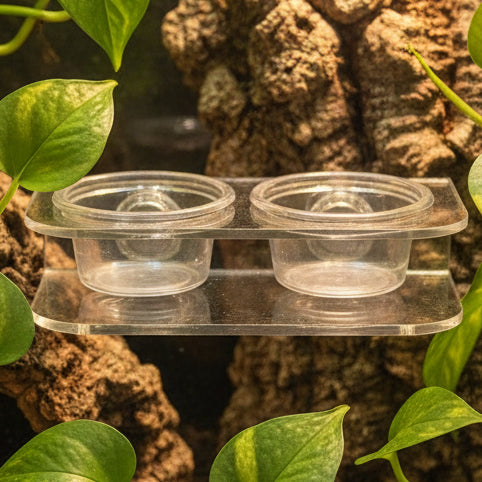 Magnetic Acrylic Arboreal Feeding Ledge