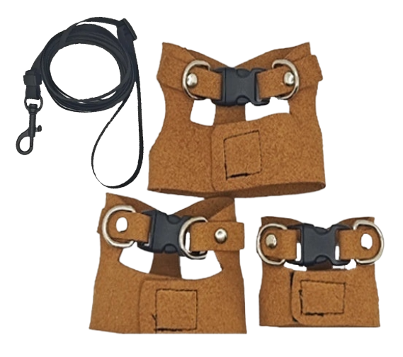 3-Piece Multi-Size Reptile Comfort Vest Harness & Leash Set