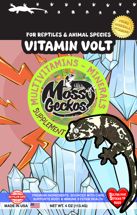 Mossy Geckos - Essential Supplement & Feeder 4-Pack Bundle